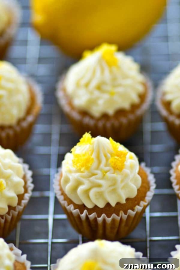 Zingy Mini Lemon Cupcakes with Velvety Cream Cheese Frosting 5 Freshly baked mini lemon cupcakes cooling on a wire rack, ready for frosting
