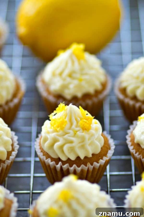 Zingy Mini Lemon Cupcakes with Velvety Cream Cheese Frosting 6 A hand piping cream cheese frosting onto a mini lemon cupcake, demonstrating the ease of frosting these small treats