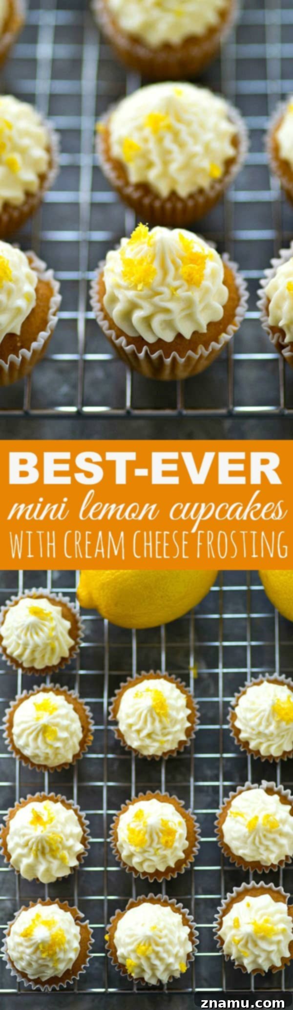 Zingy Mini Lemon Cupcakes with Velvety Cream Cheese Frosting 7 A vibrant display of completed mini lemon cupcakes with rich cream cheese frosting, ready to be enjoyed