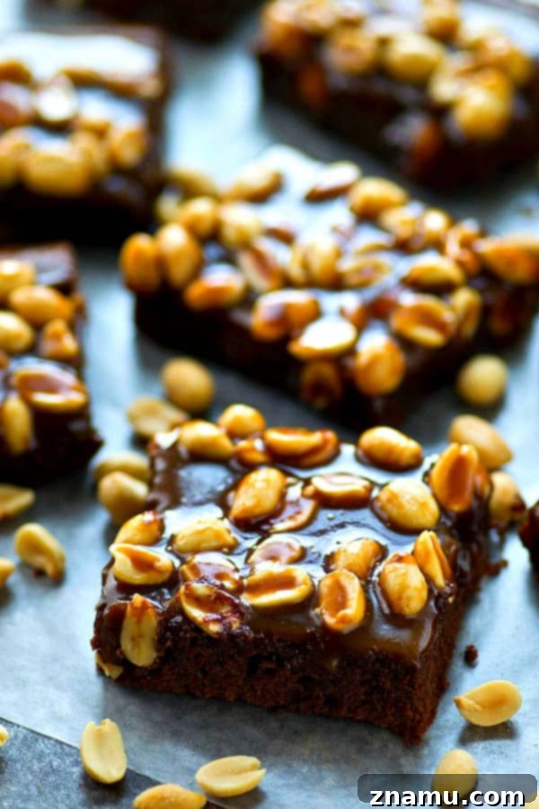 Praline Crunch Peanut Butter Brownies 5 A cross-section of a fudgy brownie, highlighting its dense, rich texture.