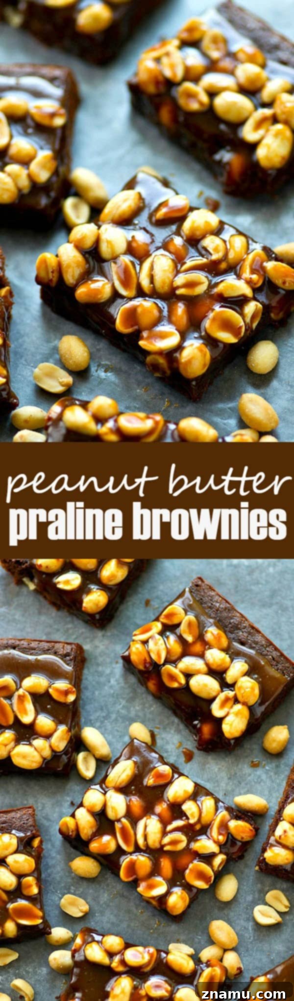 Praline Crunch Peanut Butter Brownies 7 A final shot of sliced peanut butter praline brownies, showcasing their decadent layers.