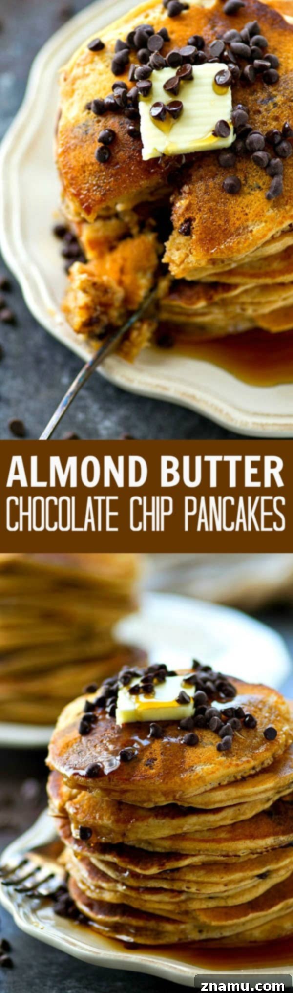 Decadent Almond Butter Chocolate Chip Flapjacks 7 A close-up of a single almond butter chocolate chip pancake, showing its fluffy texture and melted chocolate.