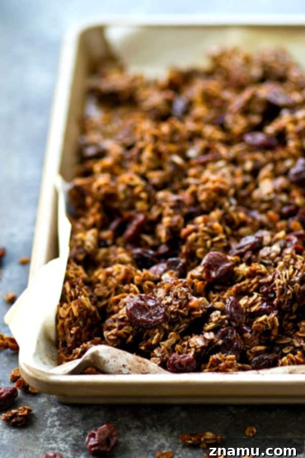 Mocha Cherry Granola Clusters 3 Close-up of golden brown mocha cherry granola clusters, highlighting their appealing texture.