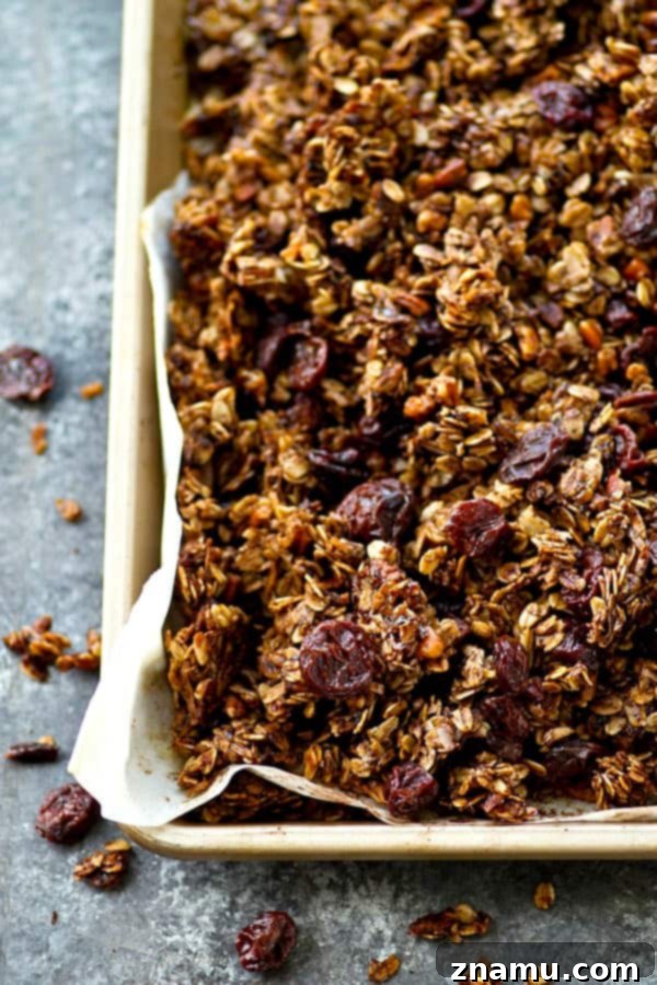 Mocha Cherry Granola Clusters 4 Mocha cherry granola served in a bowl, showcasing its rich, dark color and crunchy texture.