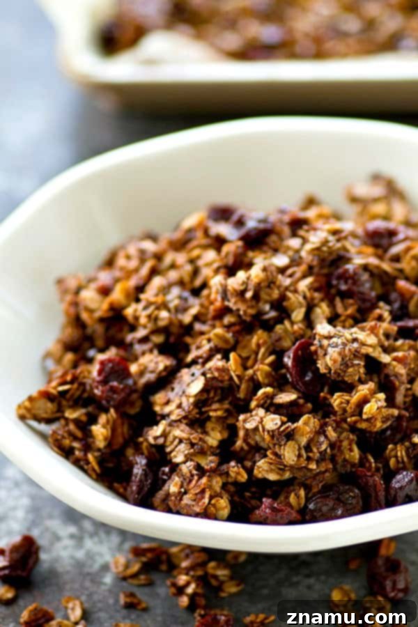 Mocha Cherry Granola Clusters 5 Bowl of mocha cherry granola ready to be enjoyed, highlighting the dark chocolate and red cherry pieces.