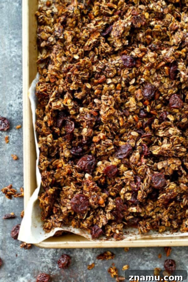Mocha Cherry Granola Clusters 6 Freshly baked mocha cherry granola cooling on a parchment-lined baking sheet, showing intact clusters.