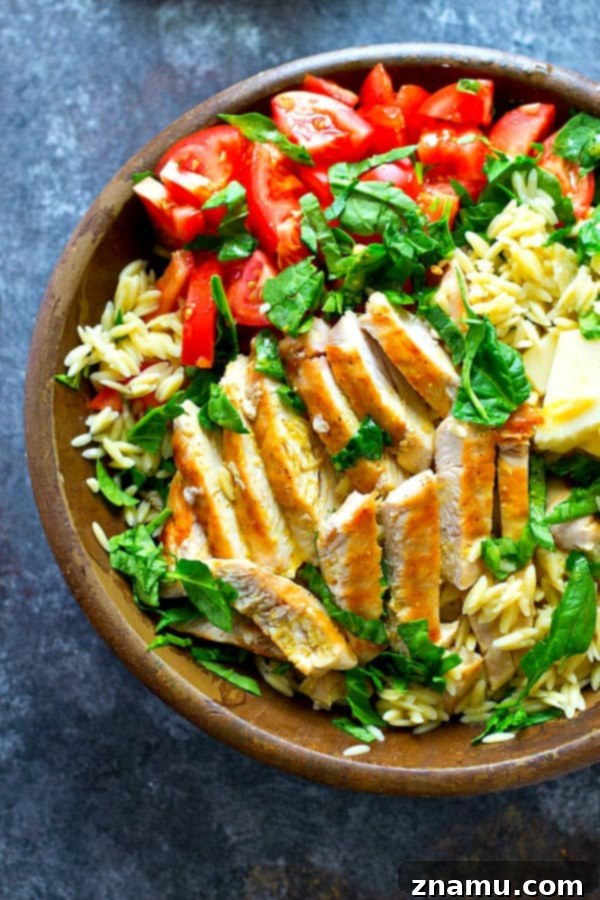 Vibrant Caprese Orzo with Grilled Chicken 2 A beautifully presented Grilled Chicken Caprese Orzo Salad, featuring golden grilled chicken strips, bright red cherry tomatoes, creamy white mozzarella balls, and fresh green basil leaves, all tossed with orzo pasta and a light vinaigrette. The salad is served in a large, rustic bowl, emphasizing its freshness and appeal as a summer meal.