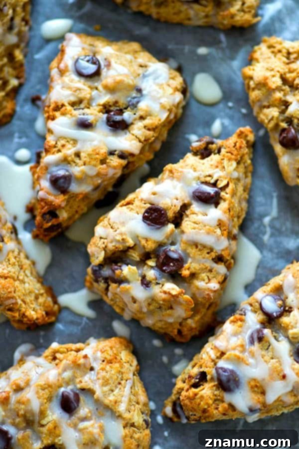 Glazed Chocolate Chip Oatmeal Scones 2 Flaky Oatmeal Chocolate Chip Scones with Vanilla Glaze for Breakfast