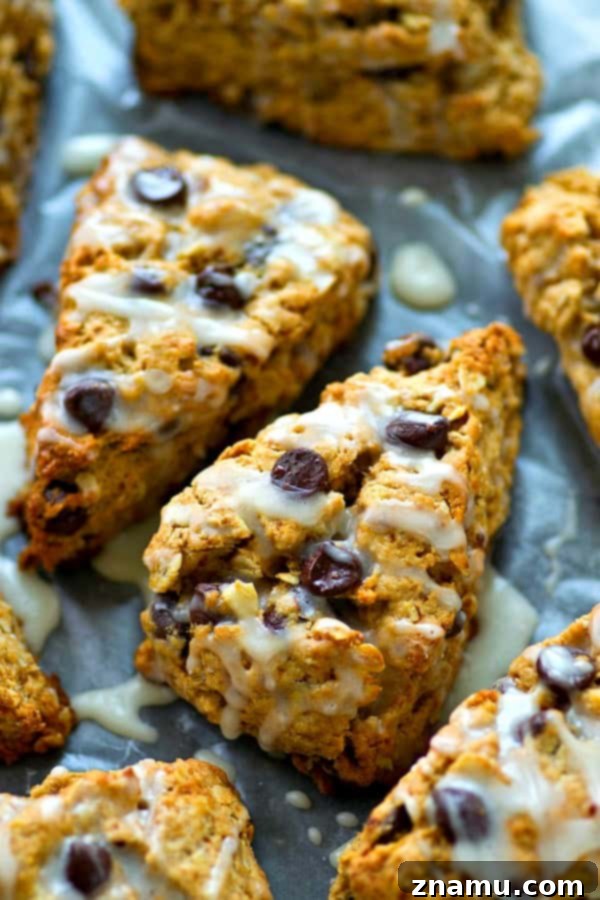 Glazed Chocolate Chip Oatmeal Scones 5 Freshly baked Oatmeal Chocolate Chip Scones cooling on a rack