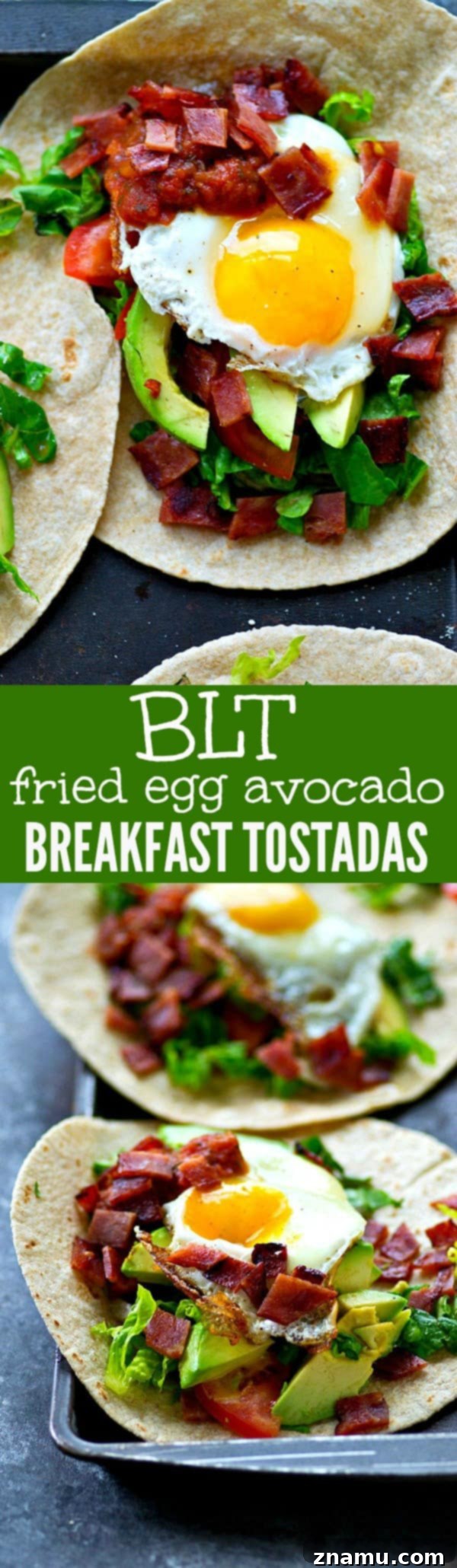 Crispy BLT Tostadas with Fried Egg and Fresh Avocado 7 A vibrant close-up shot of the finished BLT Fried Egg Avocado Breakfast Tostadas, showcasing the layering of ingredients and the appetizing appeal.