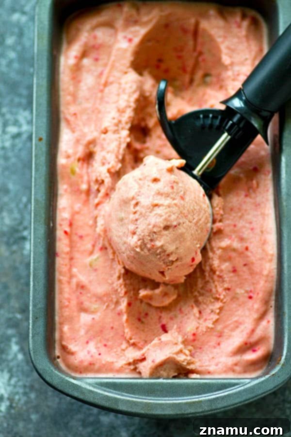 Effortless Black Cherry Banana Delight 3 A close-up shot of no-churn black cherry banana ice cream with fresh fruit.