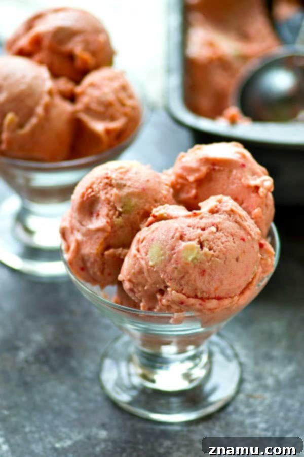Effortless Black Cherry Banana Delight 4 Ingredients for no-churn black cherry banana ice cream, including frozen bananas and fresh cherries.