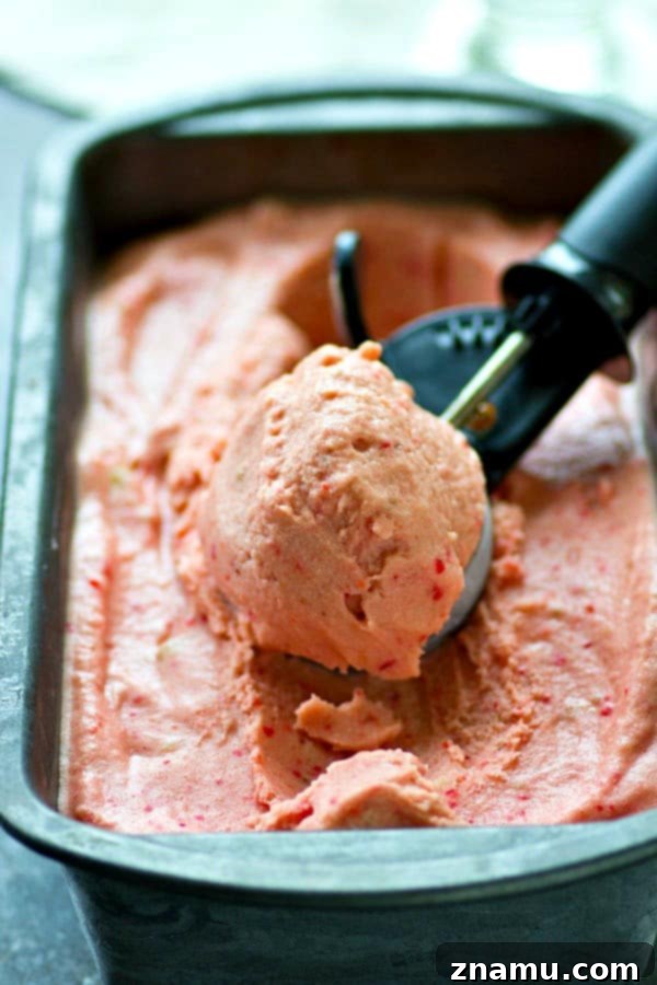 Effortless Black Cherry Banana Delight 5 Pink and creamy no-churn black cherry banana ice cream in a food processor, mid-blend.