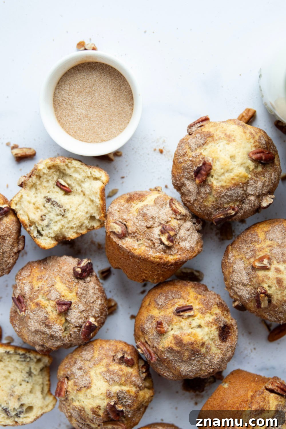 Delicious Pecan Snickerdoodle Muffins 2 Delicious Pecan Snickerdoodle Muffins, perfectly baked with a golden crust and a generous sprinkle of cinnamon sugar and chopped pecans.