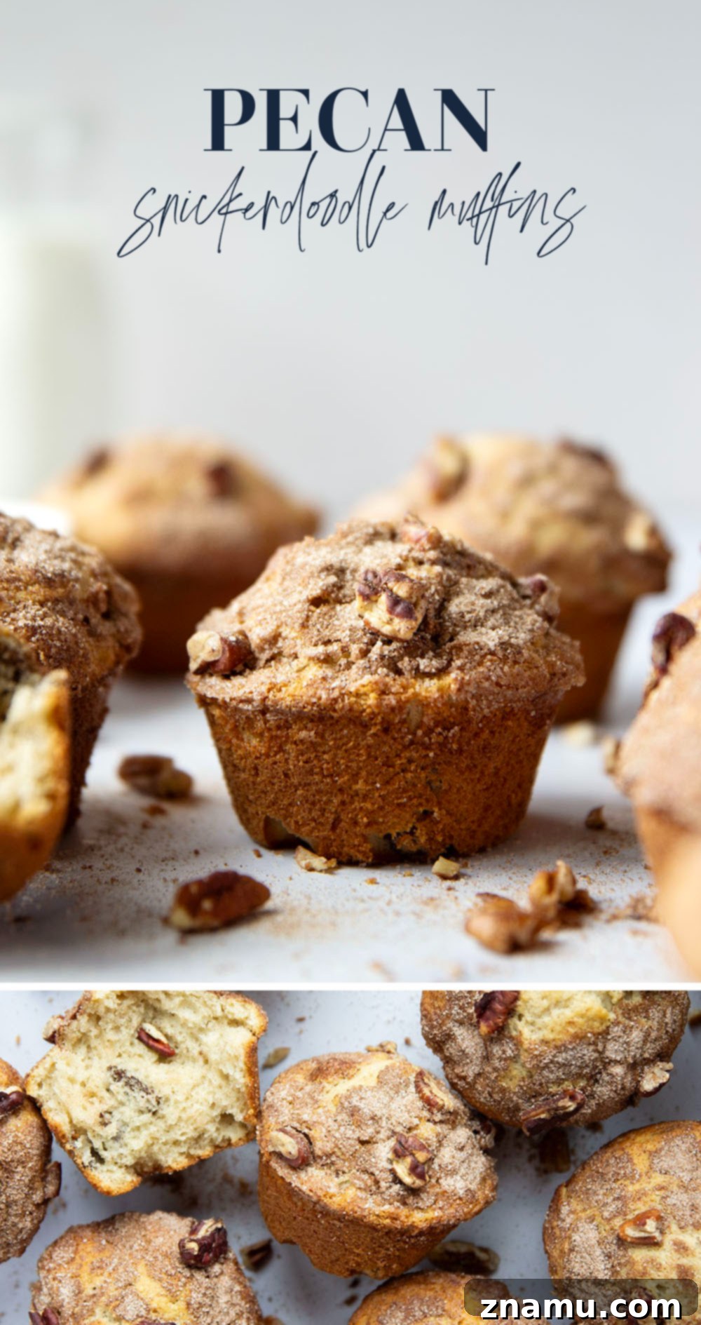 Delicious Pecan Snickerdoodle Muffins 7 A beautifully arranged serving of Pecan Snickerdoodle Muffins with steam gently rising from a hot cup of coffee, creating a cozy ambiance.
