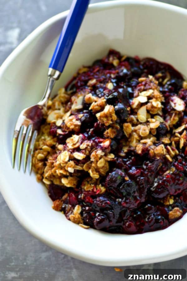 Sunshine Berry Streusel Crumble 3 Close-up of a rustic mixed berry crumble, showcasing the juicy berries and crumbly streusel topping before baking.