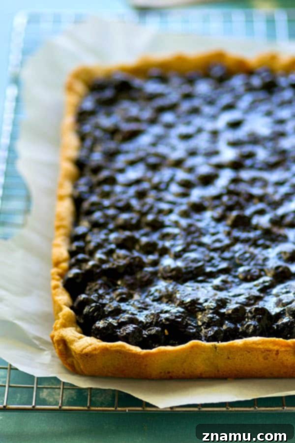 Blueberry Sugar Cookie Pie 3 Classic blueberry pie gets a makeover into EASY pan pie form with the most amazing soft sugar cookie crust and sweet blueberry filling.--- the easiest way to make pie this summer!