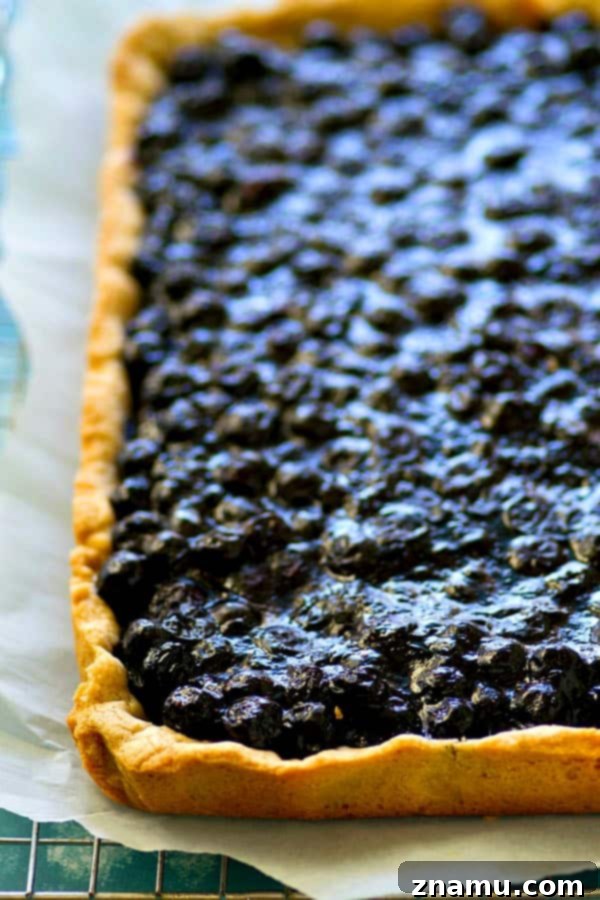 Blueberry Sugar Cookie Pie 5 Classic blueberry pie gets a makeover into EASY pan pie form with the most amazing soft sugar cookie crust and sweet blueberry filling.--- the easiest way to make pie this summer!