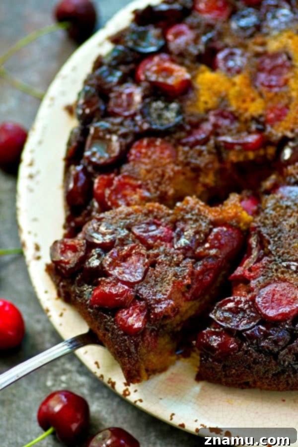 Juicy Cherry Upside-Down Morning Cake 5 A slice of cherry upside-down coffee cake revealing the moist texture and fruit