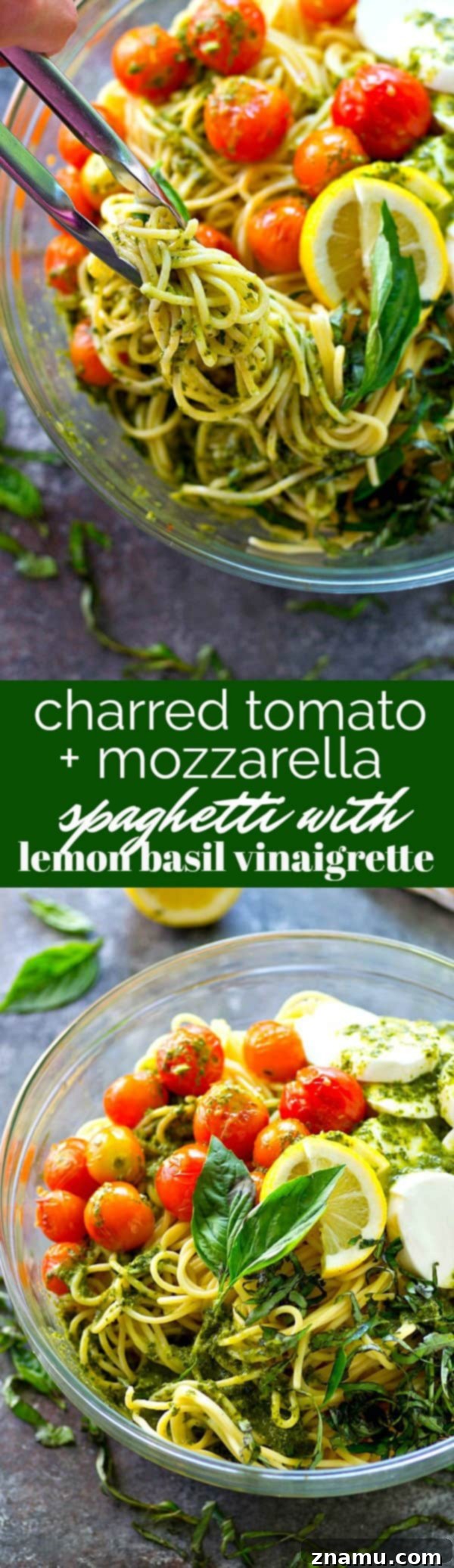 Charred Tomato and Mozzarella Spaghetti with Bright Lemon Basil Dressing 7 Juicy charred tomatoes, soft mozzarella cheese, and tons of flavorful lemon basil dressing make this spaghetti salad the ultimate summer side that you'll find yourself making again and again.