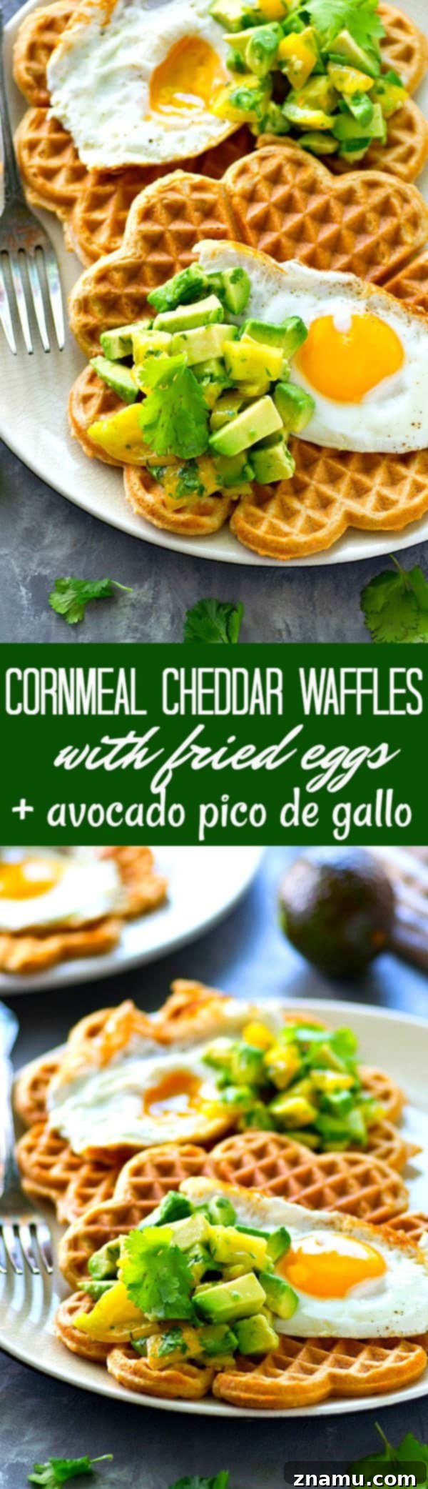 Savory Cornmeal Cheddar Waffles with Fried Eggs and Zesty Avocado Pico 6 Light and crispy cornmeal cheddar waffles are topped with a beautiful fried egg and tons of avocado pico de gallo for the BEST savory twist on waffles you'll ever have!