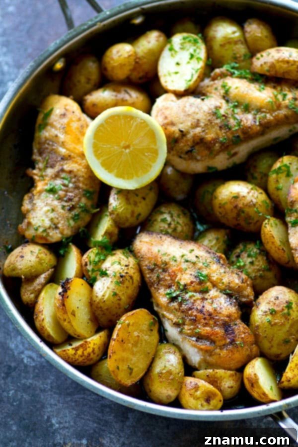 Lemon Herb Skillet Chicken with Crispy Roasted Potatoes 2 Skillet Roasted Chicken and Fingerling Potatoes with Lemon Herb Sauce, cooked in one pan for easy cleanup.
