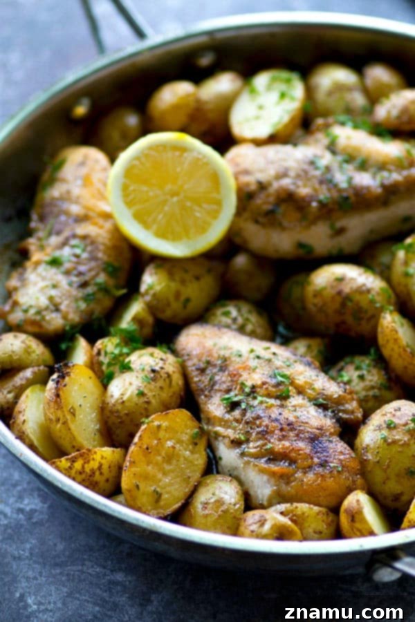 Lemon Herb Skillet Chicken with Crispy Roasted Potatoes 3 Close-up of golden-brown skillet roasted chicken and tender fingerling potatoes bathed in lemon herb sauce.