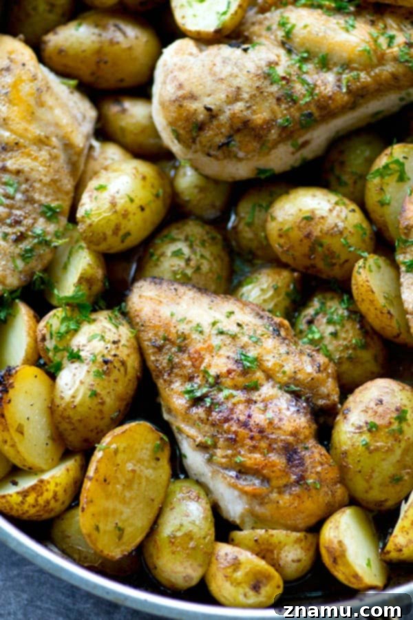 Lemon Herb Skillet Chicken with Crispy Roasted Potatoes 4 Rustic skillet filled with roasted chicken and potatoes, garnished with fresh herbs.