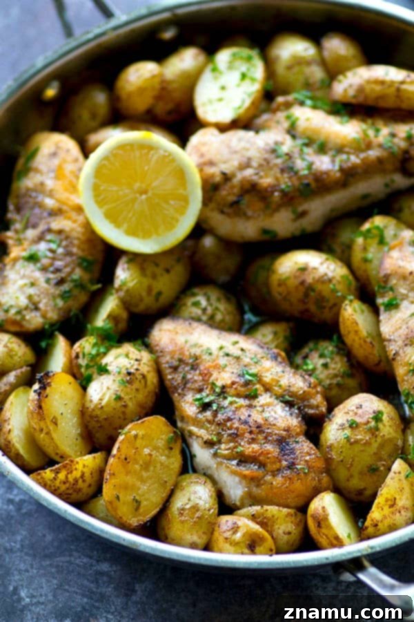 Lemon Herb Skillet Chicken with Crispy Roasted Potatoes 5 A close up shot of a fork digging into a piece of chicken and a potato from the skillet.