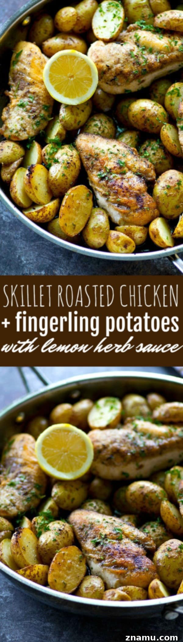 Lemon Herb Skillet Chicken with Crispy Roasted Potatoes 6 Full skillet of roasted chicken and potatoes, ready to be served.