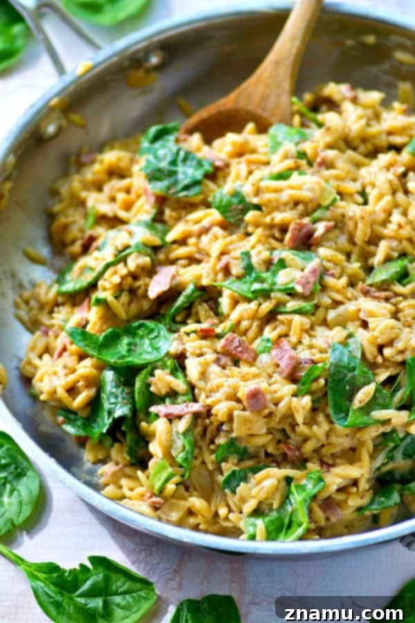 Creamy One-Pot Cheesy Spinach Bacon Orzo 3 This cheesy spinach bacon orzo is everyone's favorite weeknight comfort food and nobody will ever guess it's made in ONE pot in less than 30 minutes!