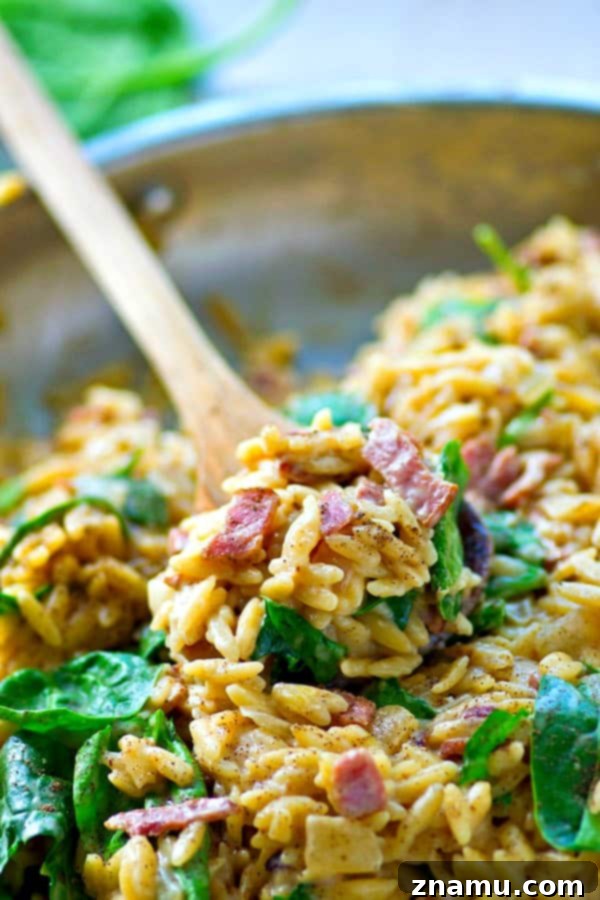 Creamy One-Pot Cheesy Spinach Bacon Orzo 4 This cheesy spinach bacon orzo is everyone's favorite weeknight comfort food and nobody will ever guess it's made in ONE pot in less than 30 minutes!