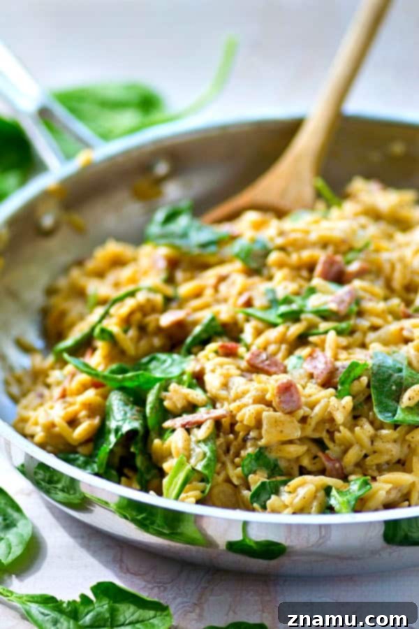 Creamy One-Pot Cheesy Spinach Bacon Orzo 5 This cheesy spinach bacon orzo is everyone's favorite weeknight comfort food and nobody will ever guess it's made in ONE pot in less than 30 minutes!