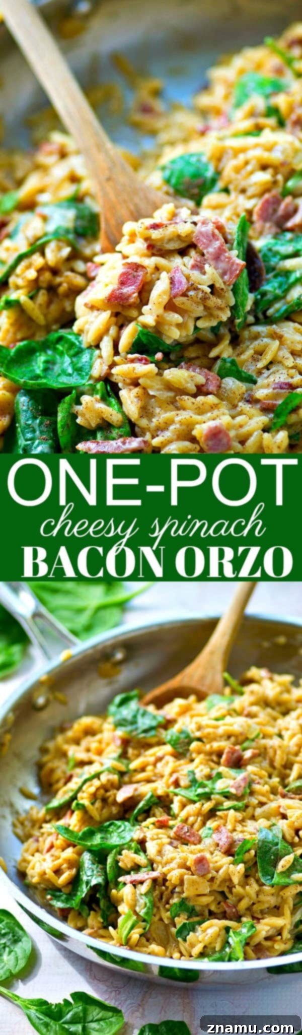 Creamy One-Pot Cheesy Spinach Bacon Orzo 6 This cheesy spinach bacon orzo is everyone's favorite weeknight comfort food and nobody will ever guess it's made in ONE pot in less than 30 minutes!