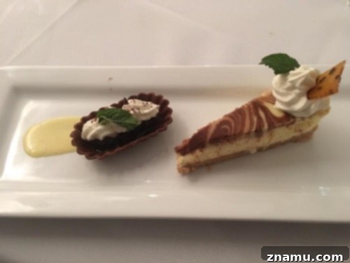 The Fourth Course of Culinary School 11 Exquisite Dessert Plating