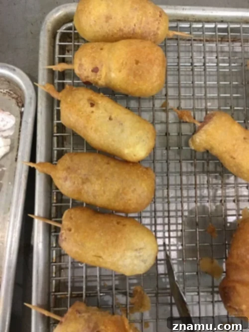 The Fourth Course of Culinary School 18 Culinary Student Focusing on Detail in the Kitchen