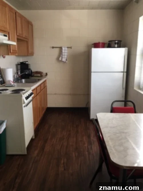 The Fourth Course of Culinary School 31 Cozy Apartment Kitchen with Fresh Ingredients