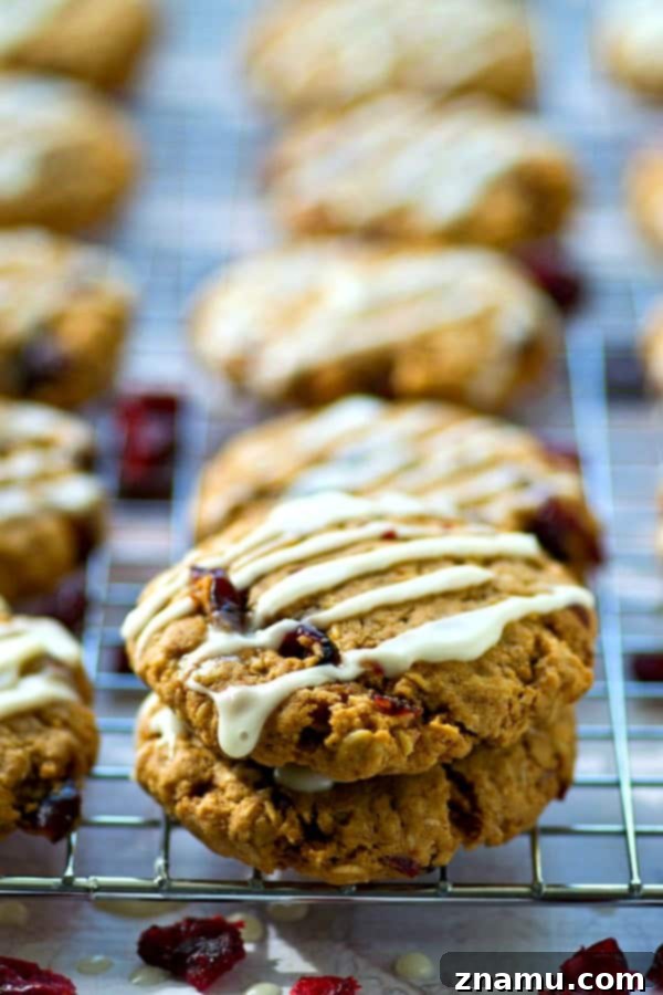 Chai Glazed Cranberry Oatmeal Cookies 5 Freshly baked Glazed Chai Spice Oatmeal Cranberry Cookies cooling on a wire rack, ready for a sweet vanilla drizzle.