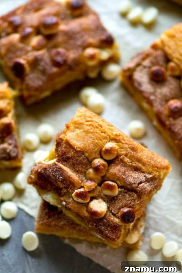 Close-up of Snickerdoodle Blondies showcasing the golden brown crust and cinnamon sugar topping.