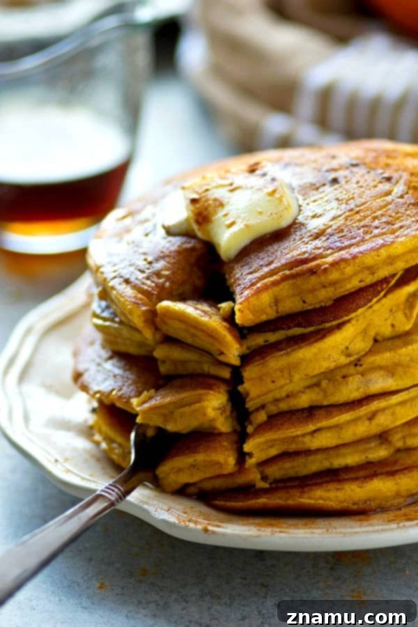 A close-up shot of a single fluffy pumpkin chai spice pancake, showcasing its beautiful texture and golden edges, ready to be eaten.