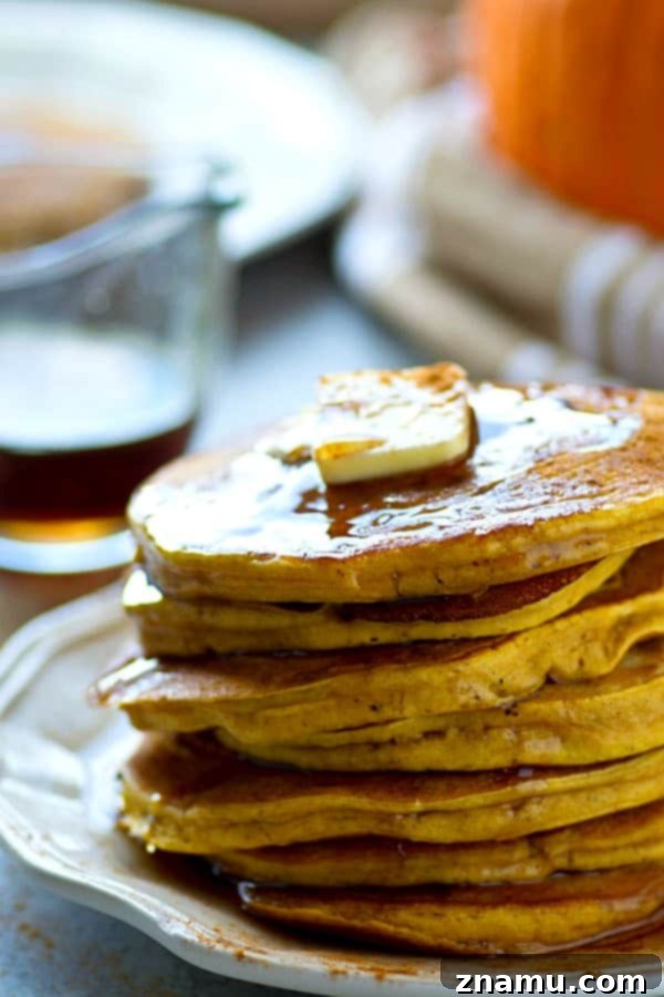 Several pumpkin chai spice pancakes arranged on a white plate, ready for syrup and toppings, highlighting their golden color.
