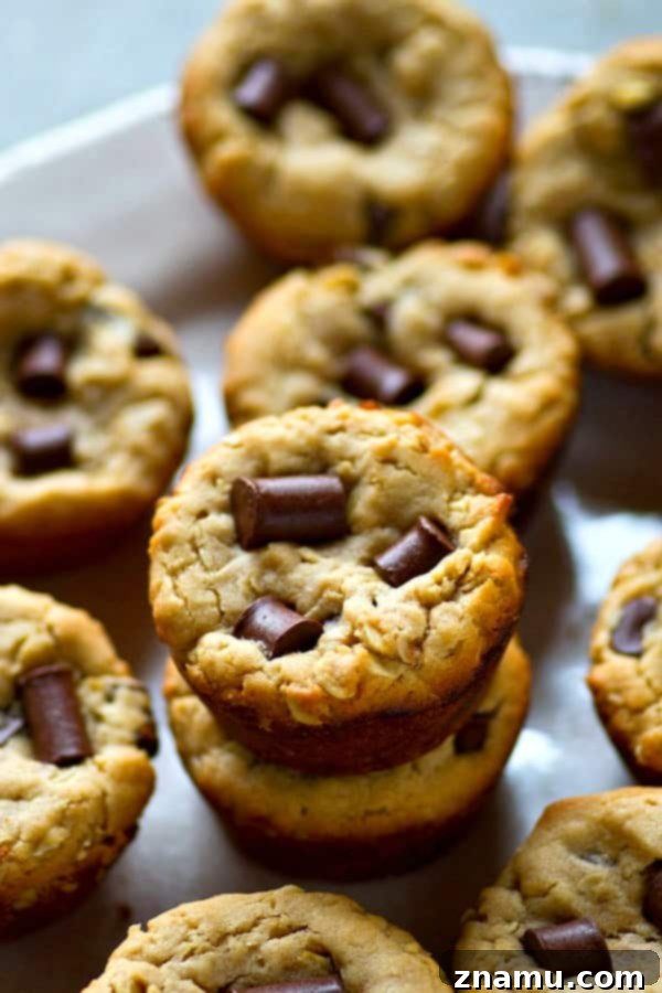 Peanut Butter Oatmeal Chocolate Chunks Cookie Cups 2 Irresistible Peanut Butter Oatmeal Chocolate Chunk Cookie Cups