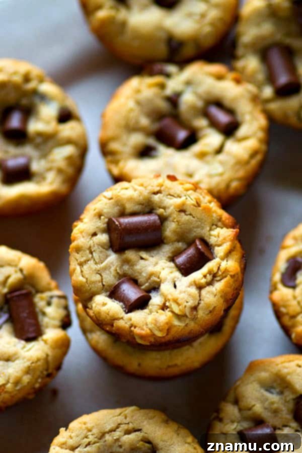 Peanut Butter Oatmeal Chocolate Chunks Cookie Cups 4 Close-up of a soft and chewy Oatmeal Chocolate Chunk Cookie Cup