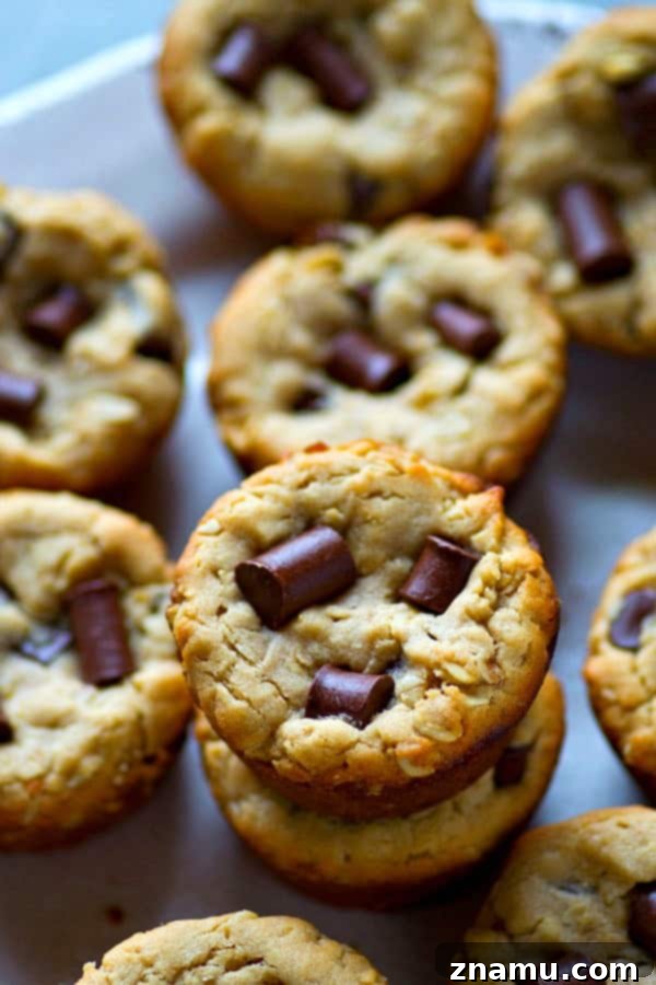 Peanut Butter Oatmeal Chocolate Chunks Cookie Cups 5 Stack of decadent Peanut Butter Oatmeal Chocolate Chunk Cookie Cups