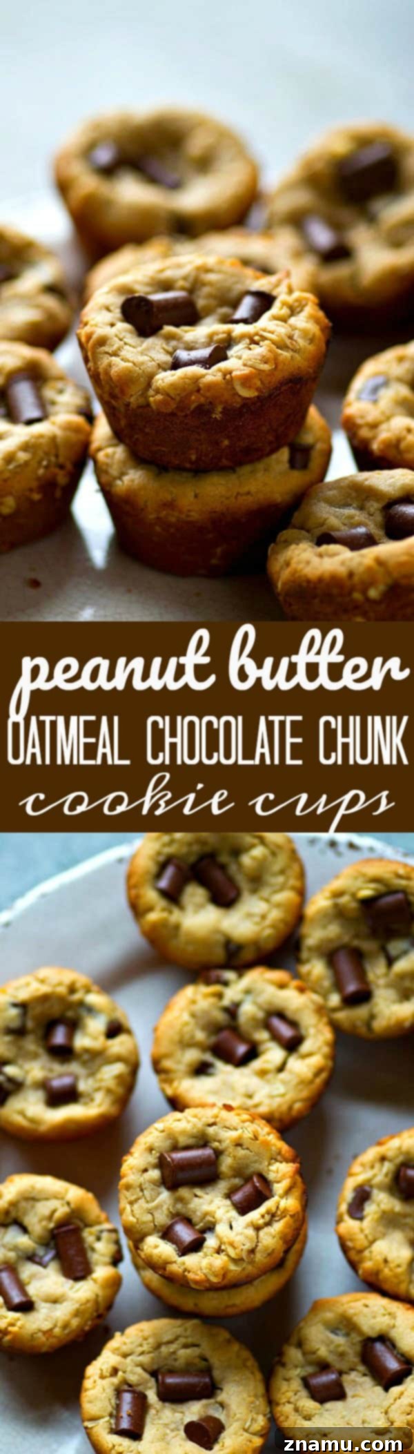 Peanut Butter Oatmeal Chocolate Chunks Cookie Cups 6 Homemade Peanut Butter Oatmeal Chocolate Chunk Cookie Cups with melted chocolate