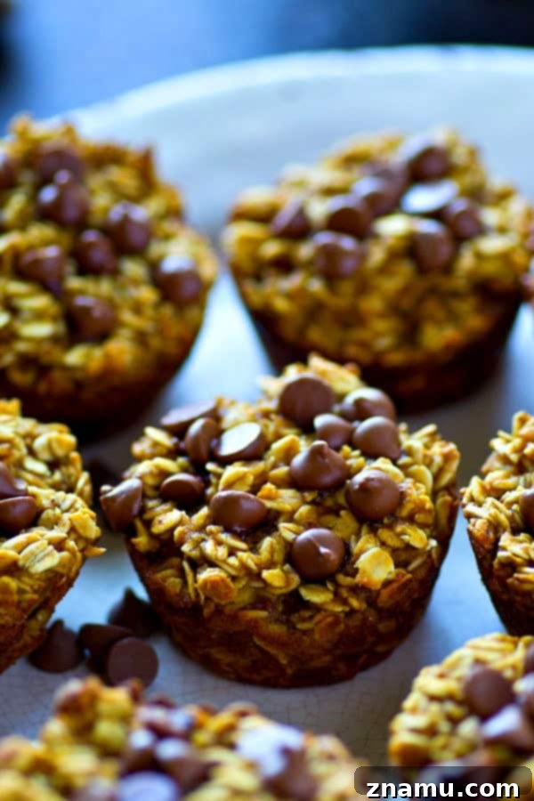 Warm Pumpkin Chocolate Chip Oatmeal Bakes 3 Close-up of baked pumpkin chocolate chip oatmeal muffins cooling on a wire rack, showcasing their fluffy texture and abundance of chocolate chips.