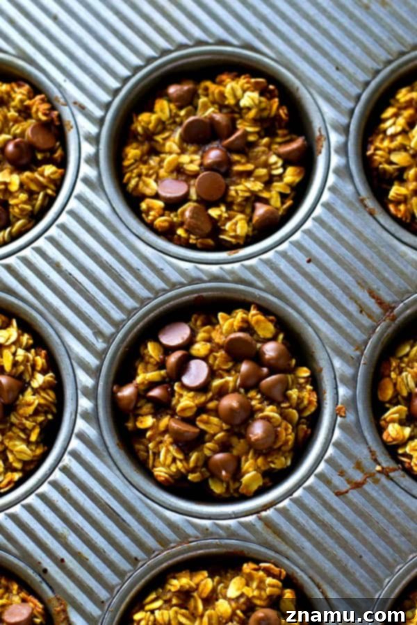 Warm Pumpkin Chocolate Chip Oatmeal Bakes 4 A plate of freshly baked pumpkin chocolate chip oatmeal muffins, ready to be enjoyed as a healthy and convenient breakfast.