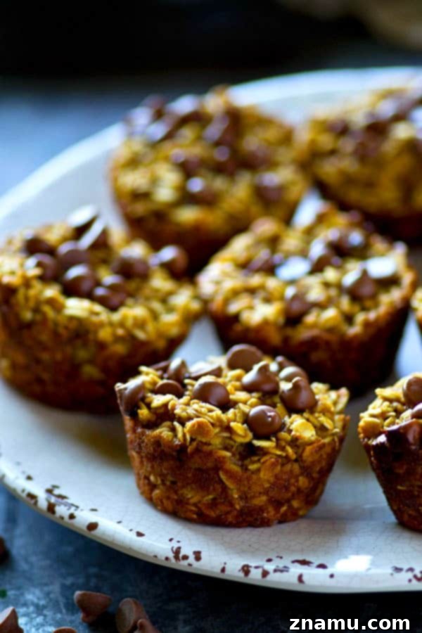 Warm Pumpkin Chocolate Chip Oatmeal Bakes 5 A close-up shot of the perfectly baked pumpkin chocolate chip oatmeal muffins, highlighting their golden-brown tops and rich texture.
