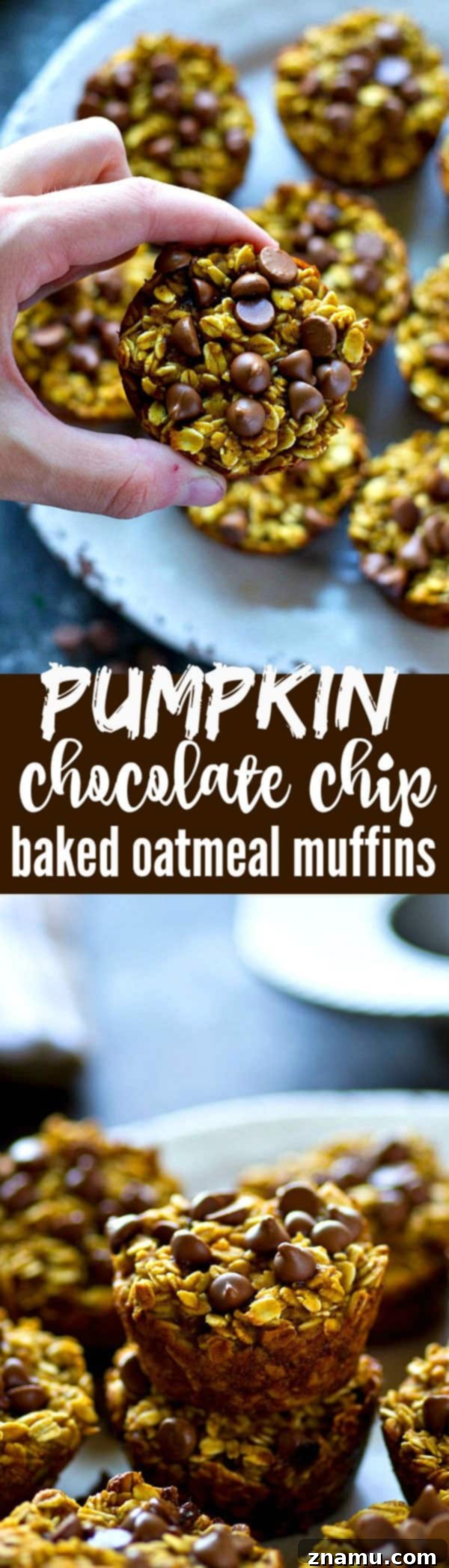 Warm Pumpkin Chocolate Chip Oatmeal Bakes 6 A close-up stack of pumpkin chocolate chip baked oatmeal muffins, emphasizing their delightful texture and the generous amount of chocolate chips within.