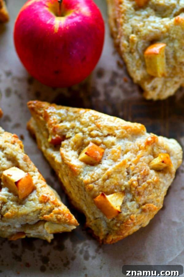 Maple Apple Cream Cheese Scones 3 A close-up of a freshly baked Maple Cream Cheese Apple Scone, showcasing its golden crust and tender interior, ideal for a cozy autumn morning.